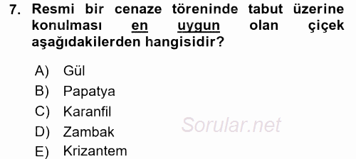Sosyal Davranış ve Protokol 2017 - 2018 Dönem Sonu Sınavı 7.Soru