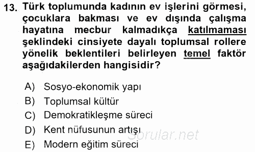 Suç Sosyolojisi 2016 - 2017 Ara Sınavı 13.Soru