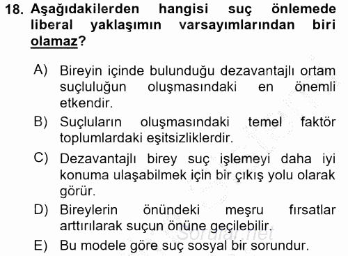 Suç Sosyolojisi 2016 - 2017 Ara Sınavı 18.Soru