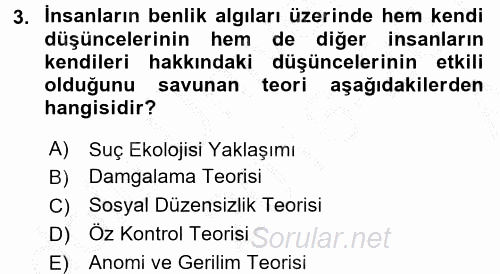 Suç Sosyolojisi 2016 - 2017 Ara Sınavı 3.Soru