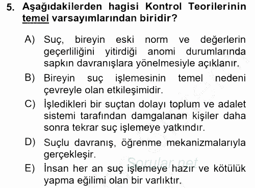 Suç Sosyolojisi 2016 - 2017 Ara Sınavı 5.Soru
