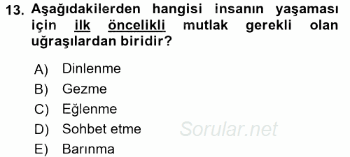 Aile Yapısı ve İlişkileri 2017 - 2018 3 Ders Sınavı 13.Soru