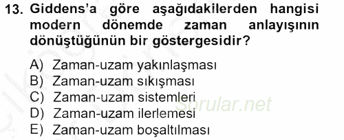 Sosyolojide Yakın Dönem Gelişmeler 2012 - 2013 Ara Sınavı 13.Soru