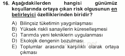 Sosyolojide Yakın Dönem Gelişmeler 2012 - 2013 Ara Sınavı 16.Soru