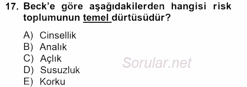 Sosyolojide Yakın Dönem Gelişmeler 2012 - 2013 Ara Sınavı 17.Soru