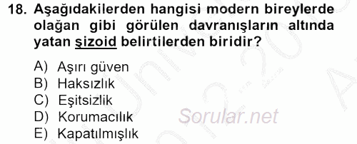 Sosyolojide Yakın Dönem Gelişmeler 2012 - 2013 Ara Sınavı 18.Soru