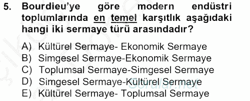Sosyolojide Yakın Dönem Gelişmeler 2012 - 2013 Ara Sınavı 5.Soru
