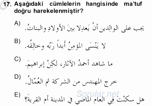 Arapça 3 2014 - 2015 Dönem Sonu Sınavı 17.Soru