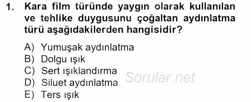 Film ve Video Kültürü 2012 - 2013 Dönem Sonu Sınavı 1.Soru