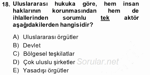 İnsan Hakları ve Demokratikleşme Süreci 2013 - 2014 Ara Sınavı 18.Soru