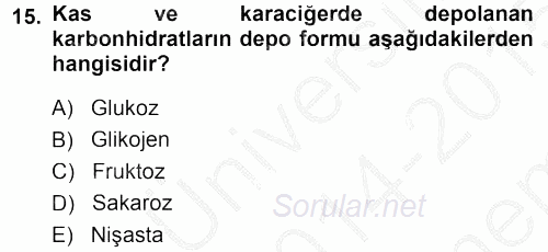 Spor Bilimlerine Giriş 2014 - 2015 Dönem Sonu Sınavı 15.Soru