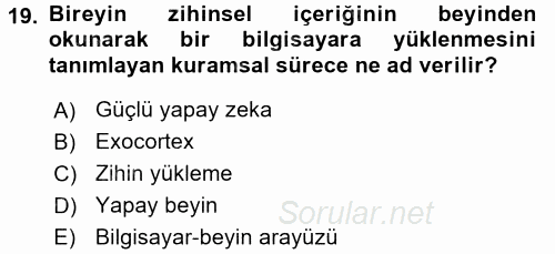 Temel Bilgi Teknolojileri 2 2015 - 2016 Dönem Sonu Sınavı 19.Soru