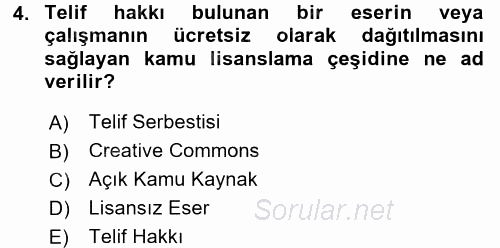Temel Bilgi Teknolojileri 2 2015 - 2016 Dönem Sonu Sınavı 4.Soru