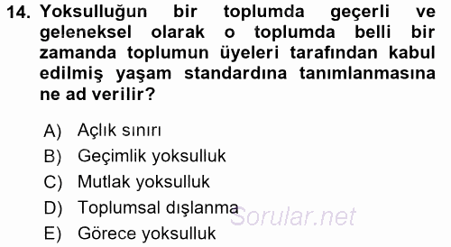 Toplumsal Tabakalaşma ve Eşitsizlik 2017 - 2018 Dönem Sonu Sınavı 14.Soru