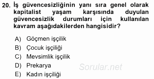 Toplumsal Tabakalaşma ve Eşitsizlik 2017 - 2018 Dönem Sonu Sınavı 20.Soru