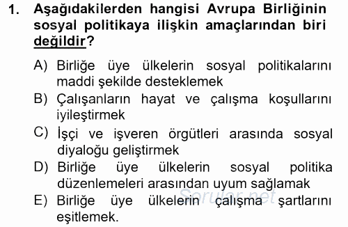 Uluslararası Sosyal Politika 2013 - 2014 Tek Ders Sınavı 1.Soru