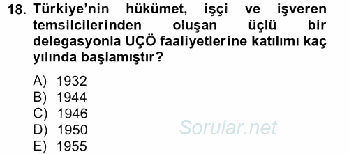 Uluslararası Sosyal Politika 2013 - 2014 Tek Ders Sınavı 18.Soru