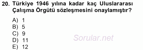 Uluslararası Sosyal Politika 2013 - 2014 Tek Ders Sınavı 20.Soru