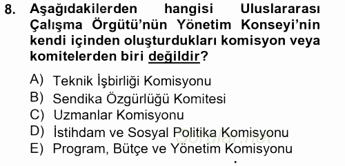 Uluslararası Sosyal Politika 2013 - 2014 Tek Ders Sınavı 8.Soru