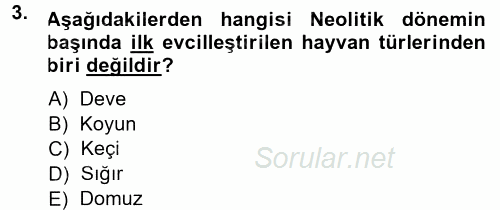 Anadolu Arkeolojisi 2014 - 2015 Ara Sınavı 3.Soru