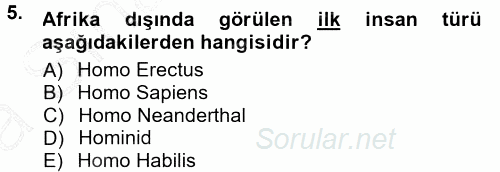 Anadolu Arkeolojisi 2014 - 2015 Ara Sınavı 5.Soru