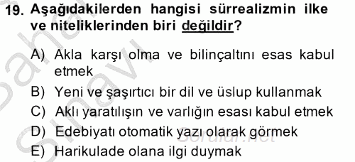 Batı Edebiyatında Akımlar 2 2014 - 2015 Ara Sınavı 19.Soru