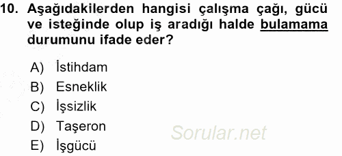Çalışma Sosyolojisi 2015 - 2016 Ara Sınavı 10.Soru