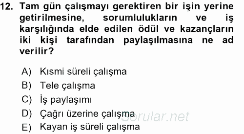 Çalışma Sosyolojisi 2015 - 2016 Ara Sınavı 12.Soru