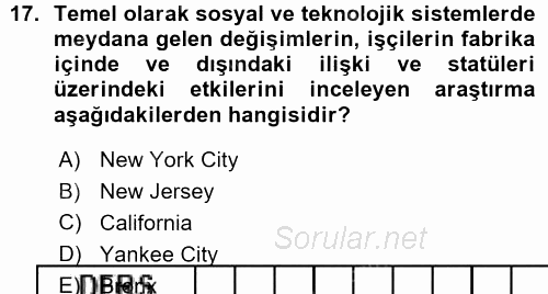 Çalışma Sosyolojisi 2015 - 2016 Ara Sınavı 17.Soru