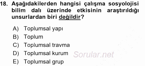 Çalışma Sosyolojisi 2015 - 2016 Ara Sınavı 18.Soru