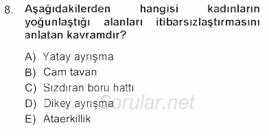 Toplumsal Cinsiyet Sosyolojisi 2012 - 2013 Tek Ders Sınavı 8.Soru