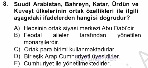 Orta Doğuda Siyaset 2012 - 2013 Ara Sınavı 8.Soru