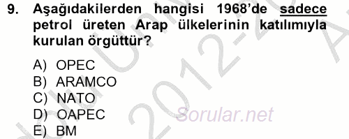Orta Doğuda Siyaset 2012 - 2013 Ara Sınavı 9.Soru