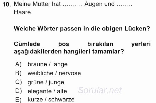 Almanca 1 2015 - 2016 Tek Ders Sınavı 10.Soru