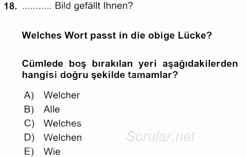 Almanca 1 2015 - 2016 Tek Ders Sınavı 18.Soru