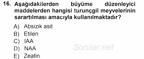 Bahçe Tarımı 1 2012 - 2013 Dönem Sonu Sınavı 16.Soru