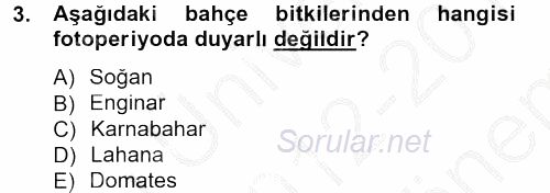 Bahçe Tarımı 1 2012 - 2013 Dönem Sonu Sınavı 3.Soru