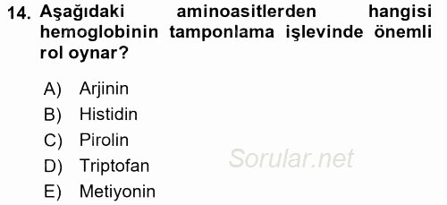 Temel Veteriner Biyokimya 2016 - 2017 Ara Sınavı 14.Soru