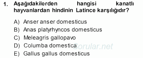 Temel Veteriner Anatomi 2013 - 2014 Dönem Sonu Sınavı 1.Soru