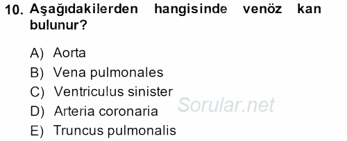 Temel Veteriner Anatomi 2013 - 2014 Dönem Sonu Sınavı 10.Soru