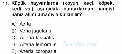 Temel Veteriner Anatomi 2013 - 2014 Dönem Sonu Sınavı 11.Soru