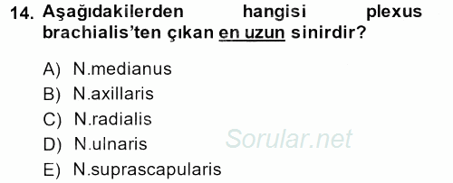 Temel Veteriner Anatomi 2013 - 2014 Dönem Sonu Sınavı 14.Soru