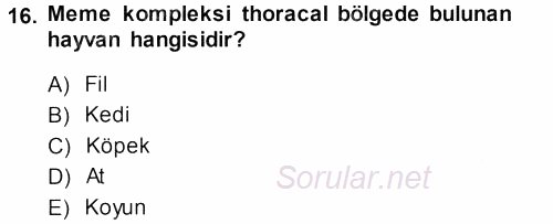 Temel Veteriner Anatomi 2013 - 2014 Dönem Sonu Sınavı 16.Soru