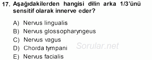 Temel Veteriner Anatomi 2013 - 2014 Dönem Sonu Sınavı 17.Soru