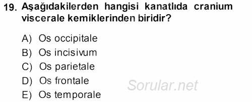 Temel Veteriner Anatomi 2013 - 2014 Dönem Sonu Sınavı 19.Soru