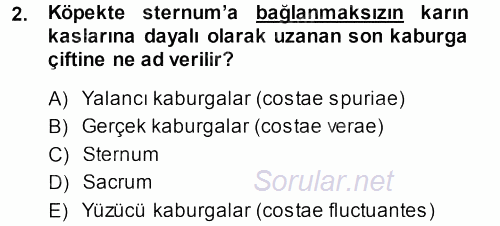 Temel Veteriner Anatomi 2013 - 2014 Dönem Sonu Sınavı 2.Soru