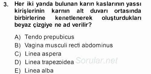Temel Veteriner Anatomi 2013 - 2014 Dönem Sonu Sınavı 3.Soru