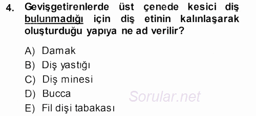 Temel Veteriner Anatomi 2013 - 2014 Dönem Sonu Sınavı 4.Soru