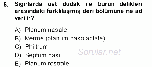Temel Veteriner Anatomi 2013 - 2014 Dönem Sonu Sınavı 5.Soru