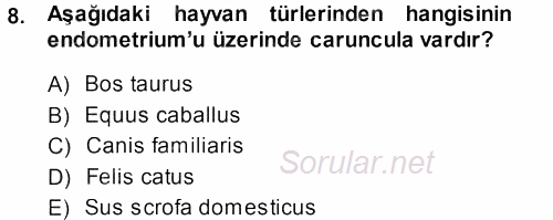 Temel Veteriner Anatomi 2013 - 2014 Dönem Sonu Sınavı 8.Soru